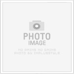 大老爺娛樂電子館｜經典角子老虎機遊戲與最新機台推薦